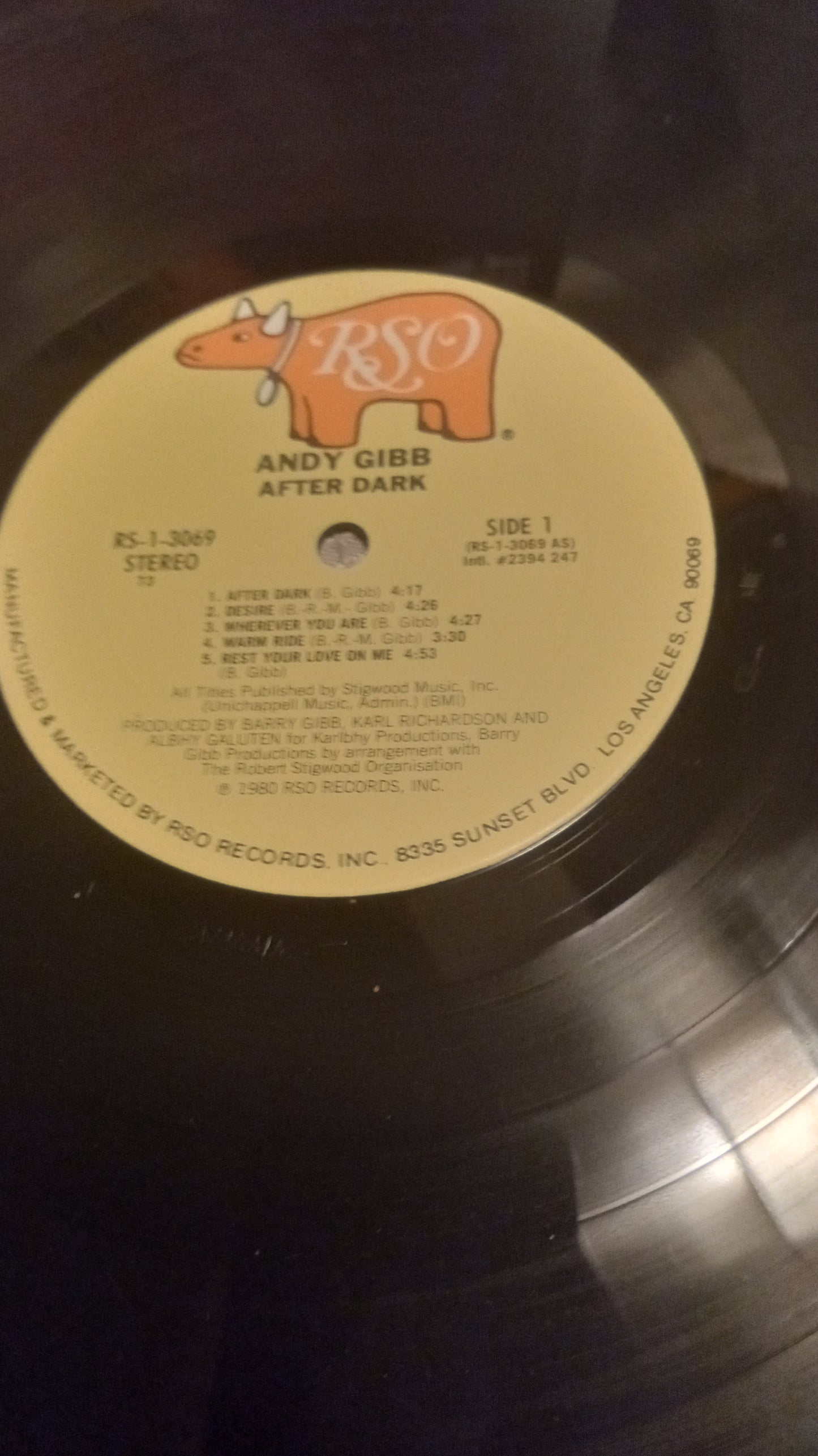 RARE Andy Gibb After Dark LP 1980 | Vinyl Record w/ ALL Fan Club Inserts & Poster