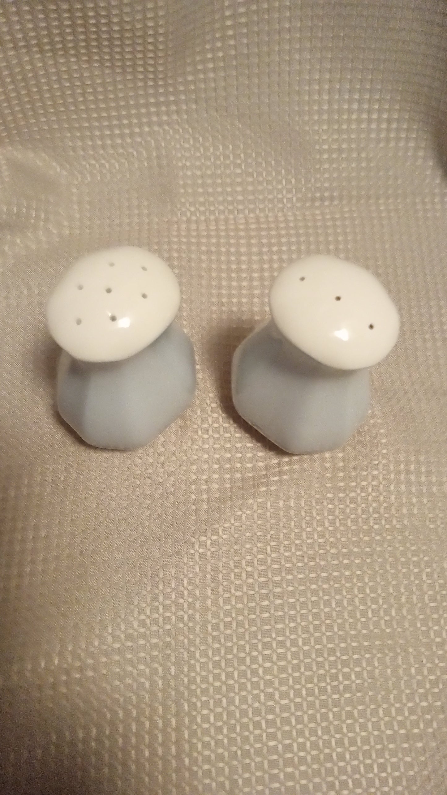 Listing Title: Pristine Lenox Provencal Sky Salt & Pepper Shaker Set - Vintage Blue China