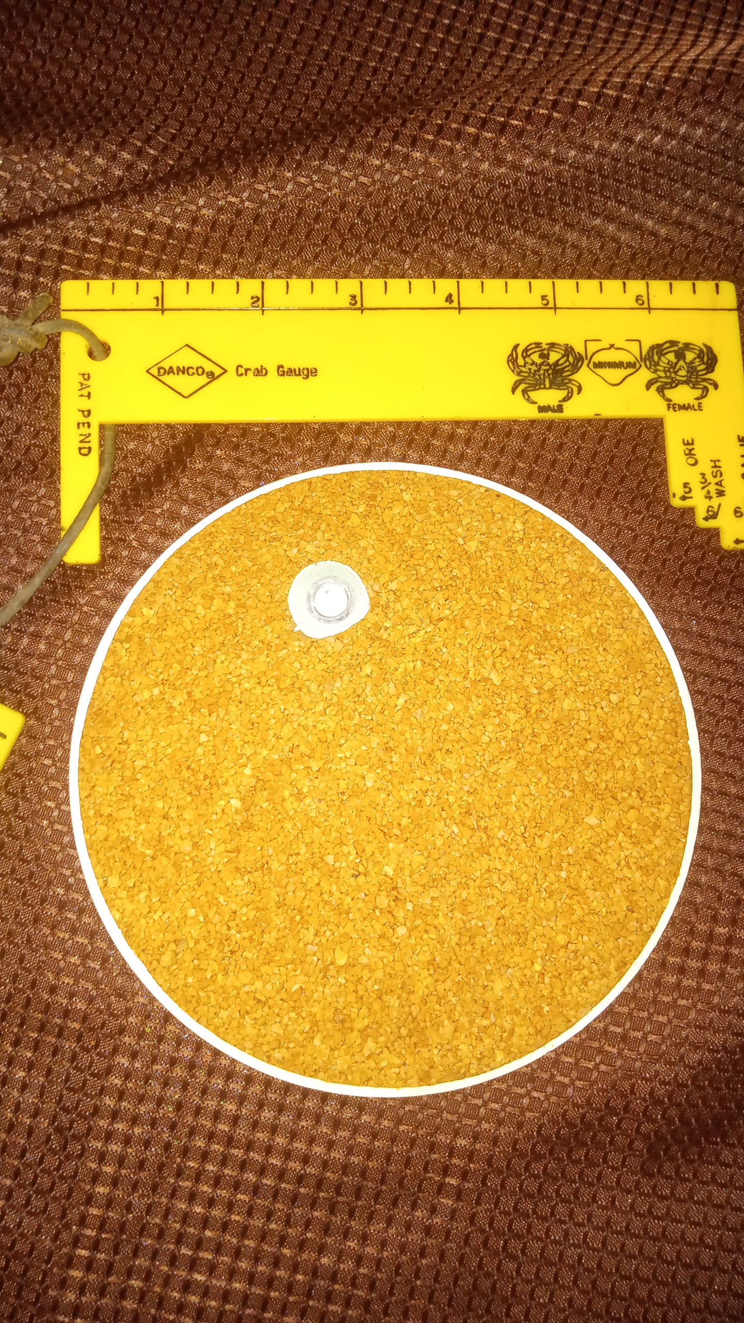 Signed Harry Held Porcelain Plate – Majestic Native American Indian Chief Portrait