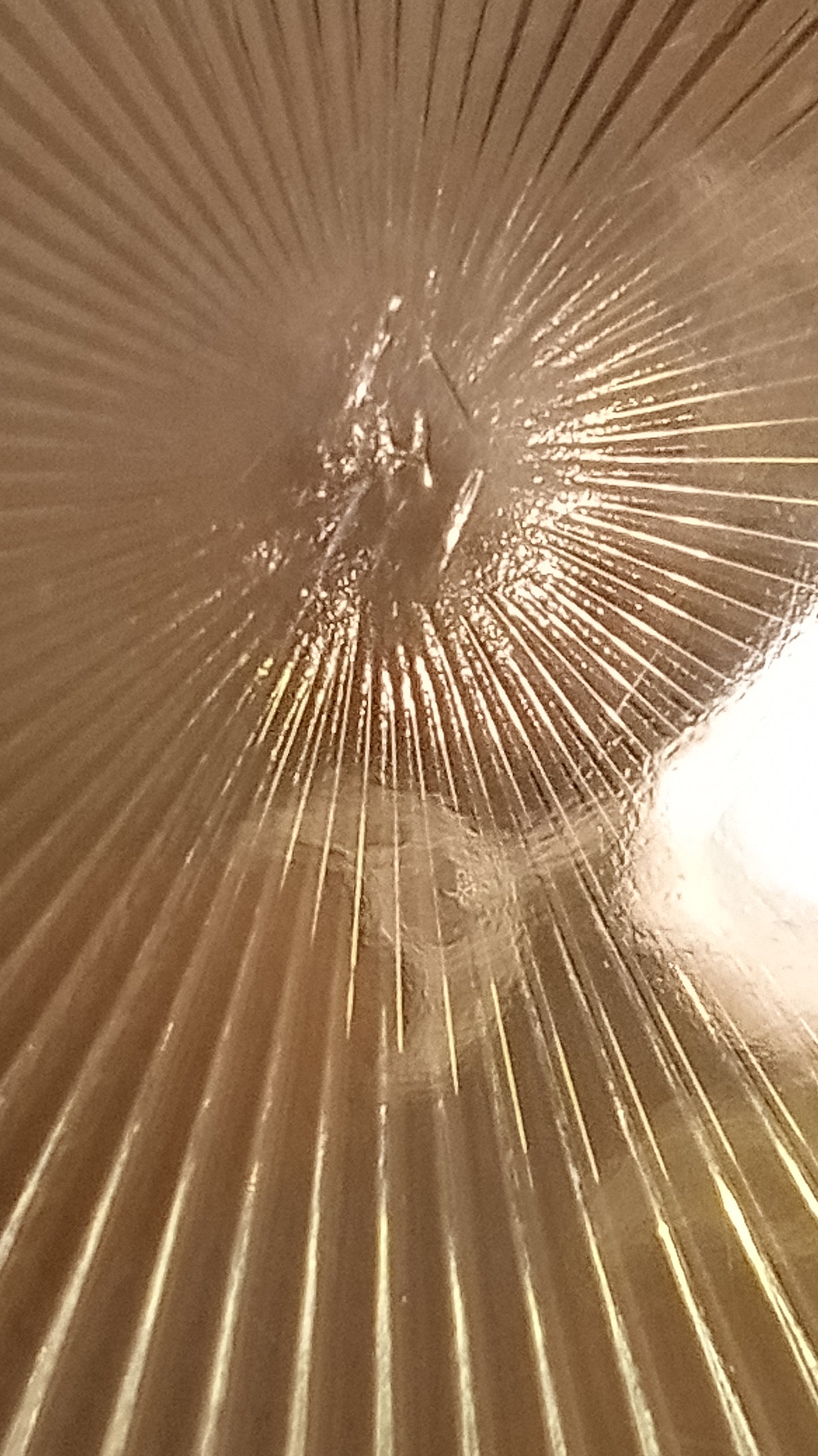 1903 Heisey Sunburst Frosted Square Plate 8" | Antique EAPG Glass