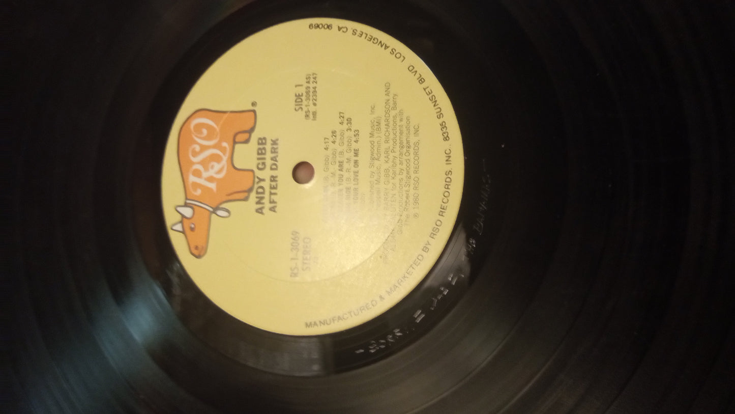 RARE Andy Gibb After Dark LP 1980 | Vinyl Record w/ ALL Fan Club Inserts & Poster