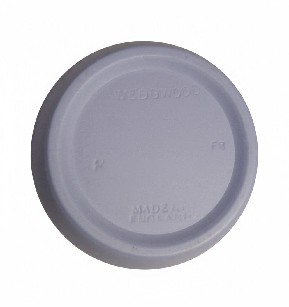 RARE Wedgwood Jasperware Match Pot with Brass Liner | Mint Vintage Blue & White Grape Vine Vesta Holder | English Collector's Cache Pot