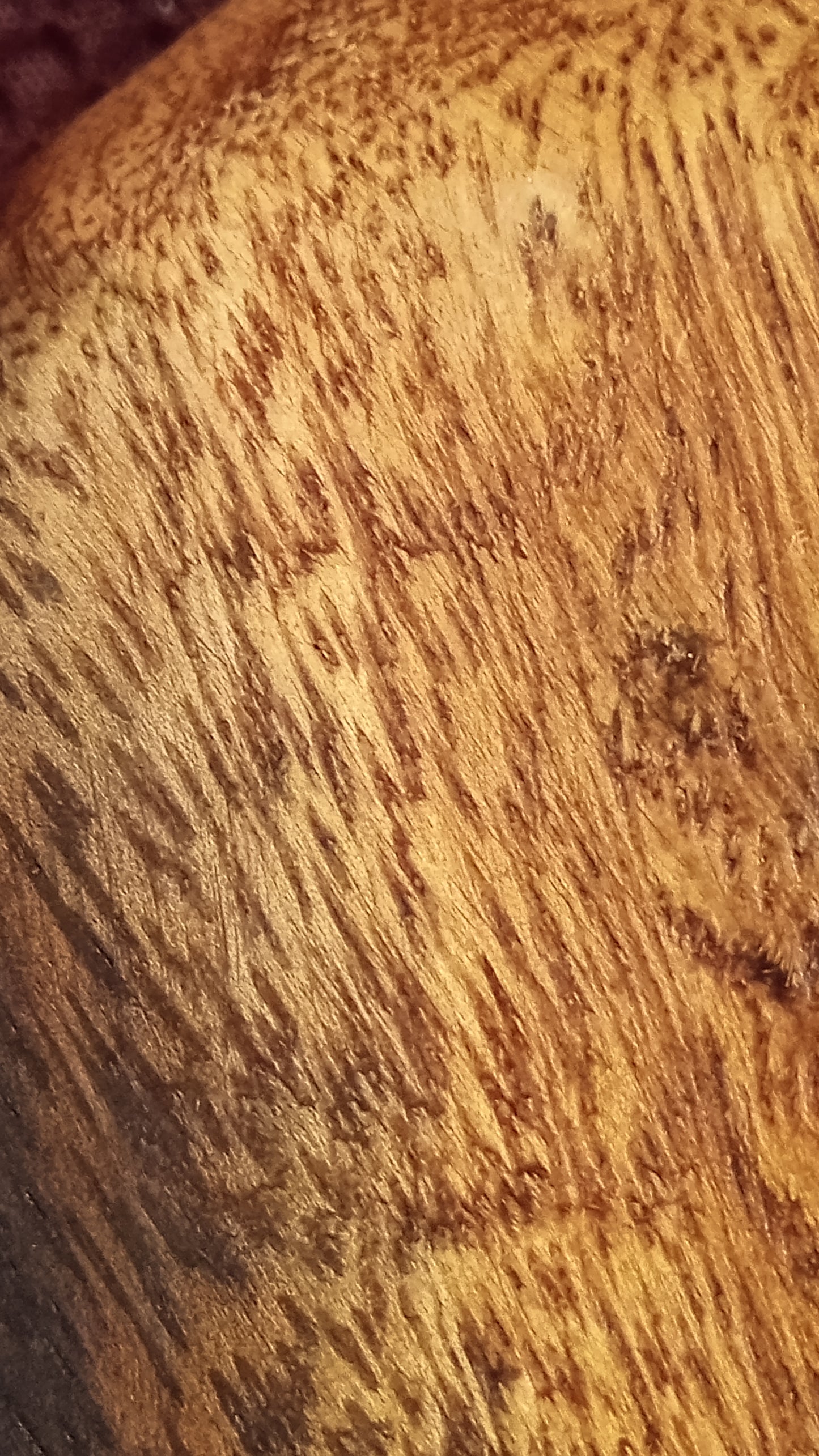 Hand-Carved Monkeypod Wood Sleeping Cat – 1970s Mid-Century Folk Art Figurine | Handcrafted Teak Style Decor | FREE Priority Shipping