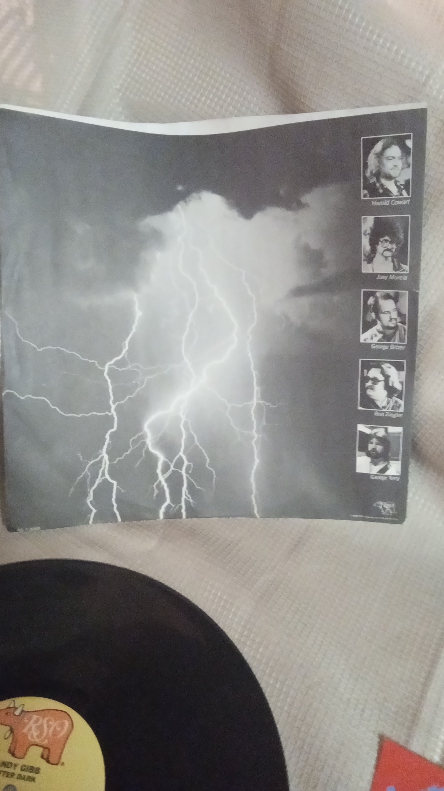 RARE Andy Gibb After Dark LP 1980 | Vinyl Record w/ ALL Fan Club Inserts & Poster