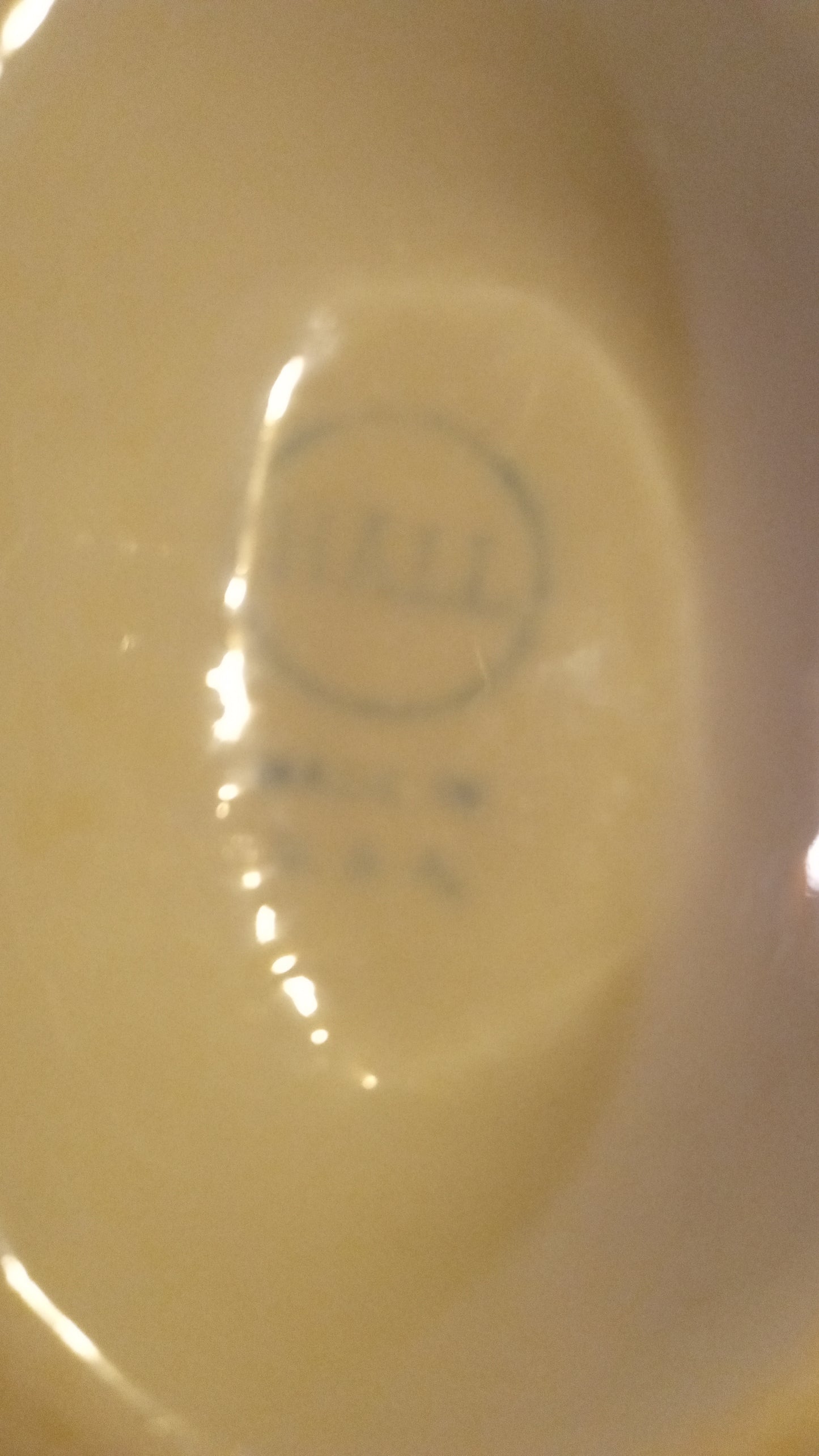 Vintage HALL China White Ceramic Gravy Boat Mid-Century Modern Diner Ware USA