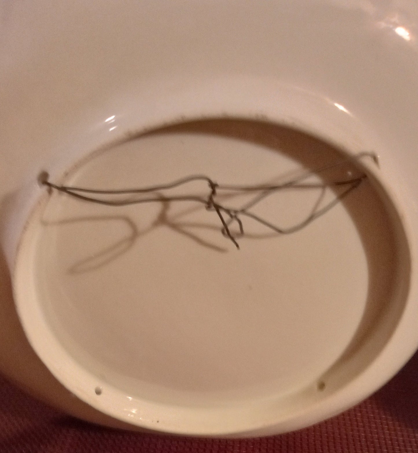 DRAMATIC! French Hunting Scene Plate: "Auvergne (Chasse Aux Loups)" 🐺 Gilded Gold Border + FREE SHIPPING!