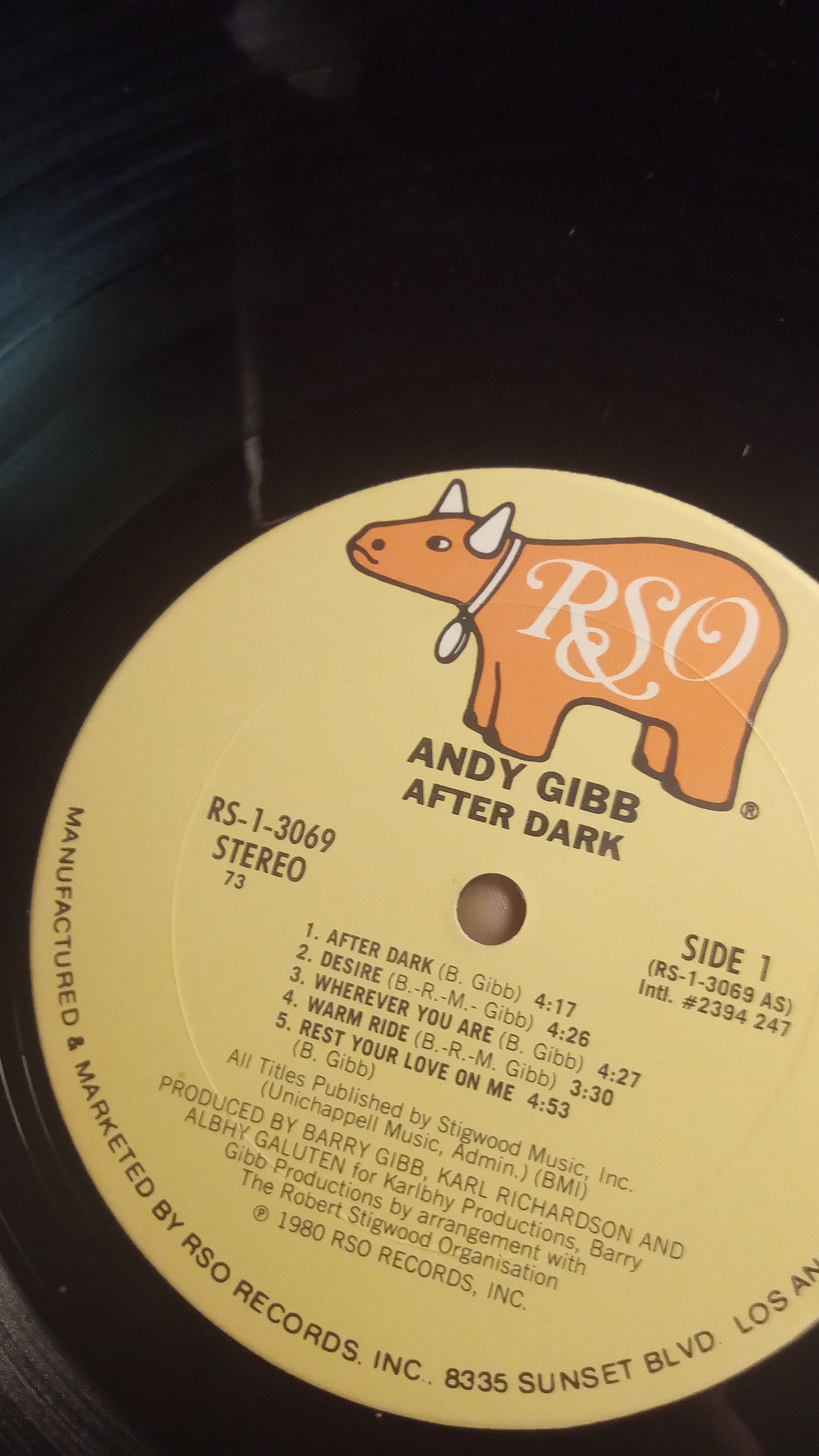 RARE Andy Gibb After Dark LP 1980 | Vinyl Record w/ ALL Fan Club Inserts & Poster